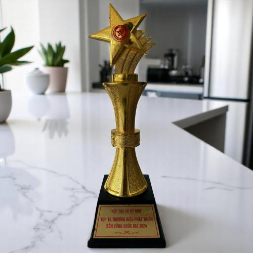 Cúp & Kỷ Niệm Chương